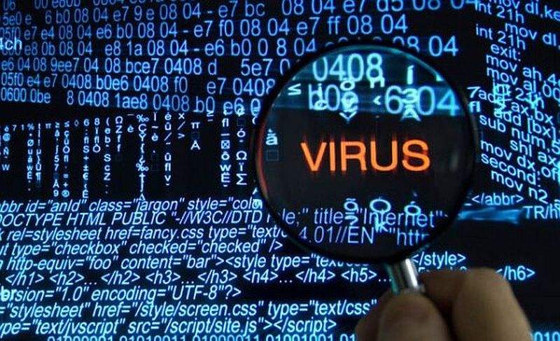 virus