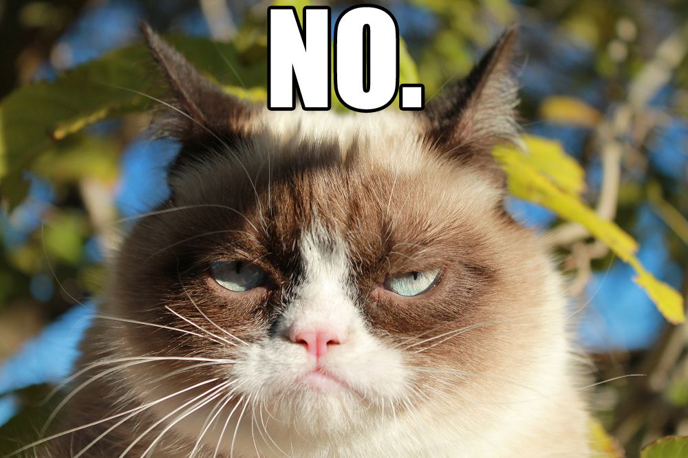 Grumpy cat