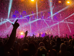 Music Festival